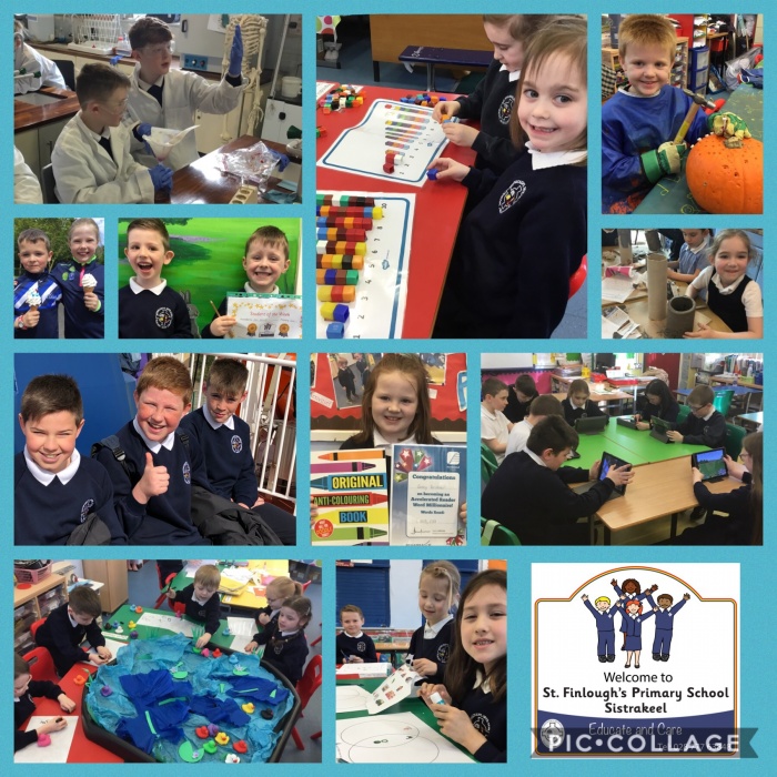 Celebrating 50 Years of Excellence in Education